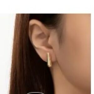 🔥10 for $100🔥 18k gold plated teardrop earrings minimalist